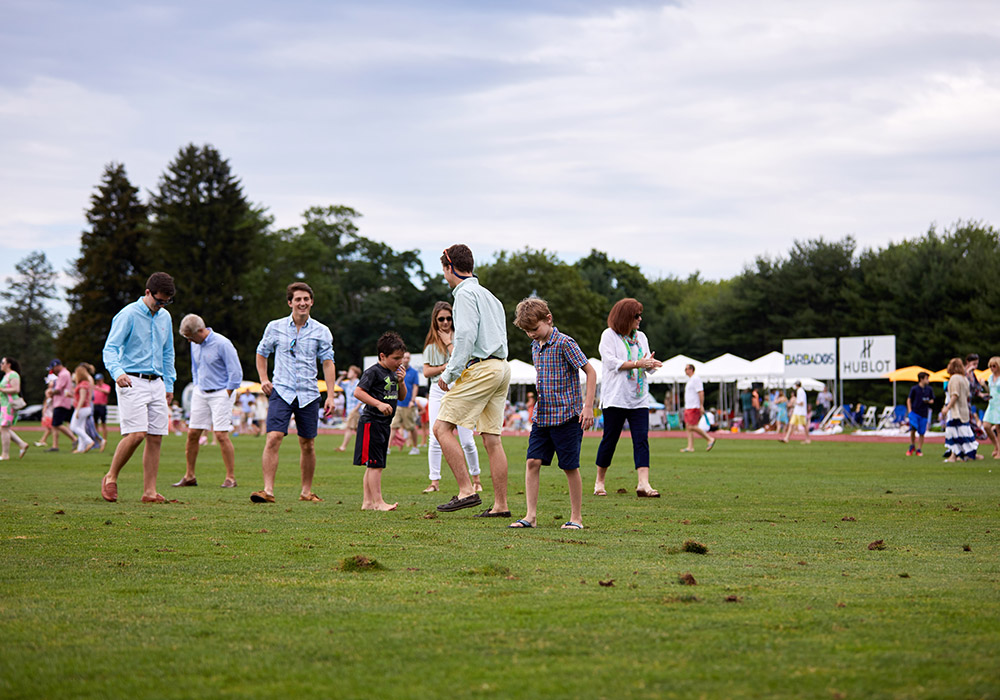 Divot Stomp