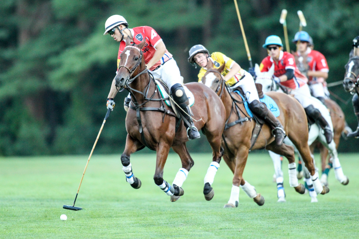 Sloan Stefanakis hitting the ball with Harry Caldwell going for the hook. Photo: Elizabeth Hedley