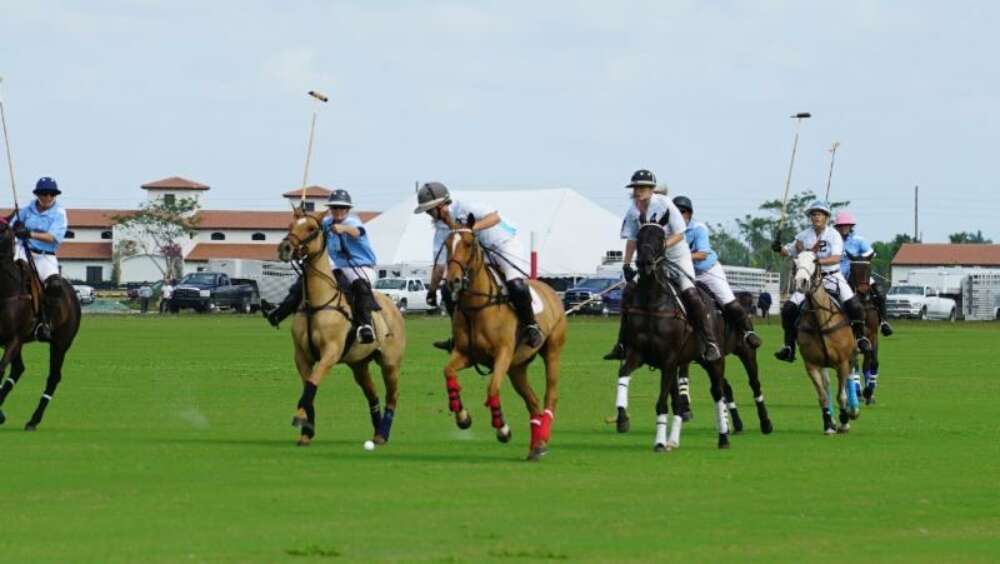 Women's polo tournament at Santa Rita Polo Farm.  