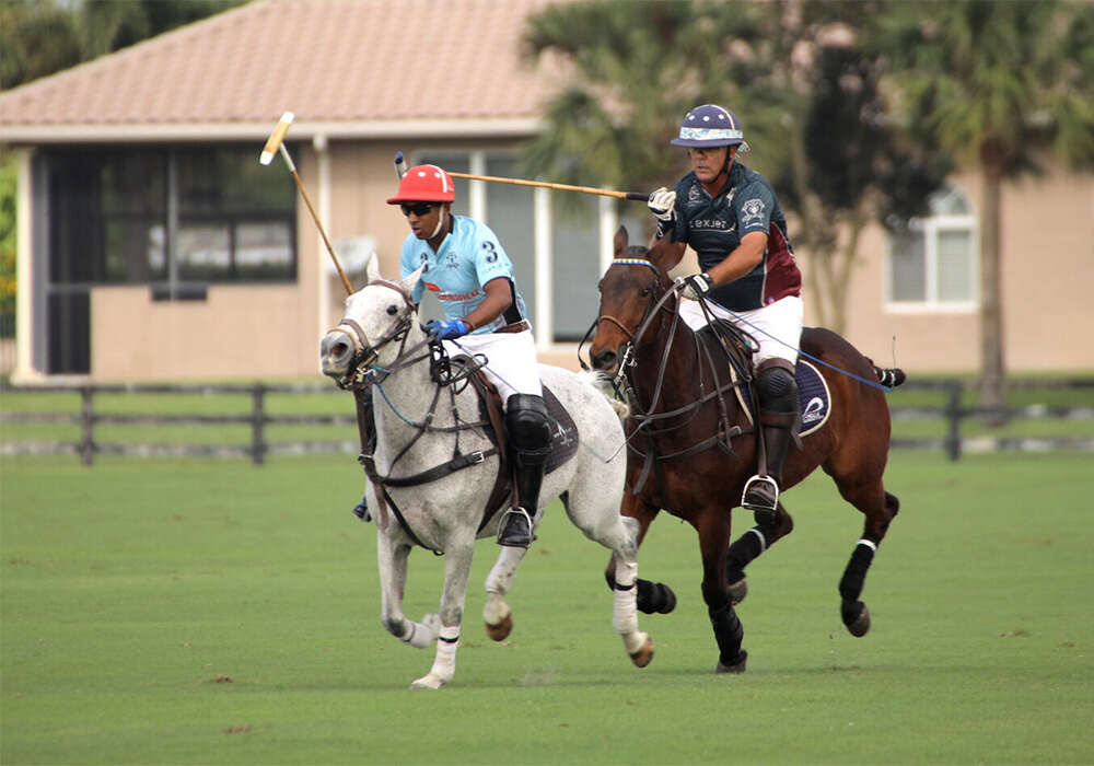 uspa polo france