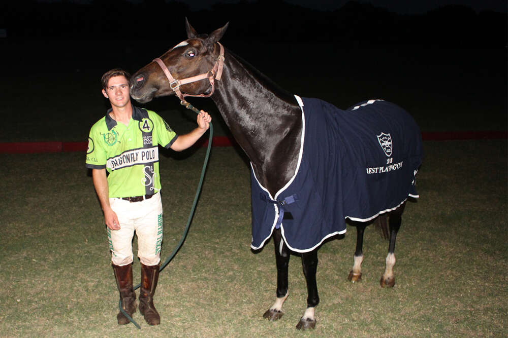 Best Playing Pony Califa, owned by Pretonwood Polo and played by Andrew Scott. 