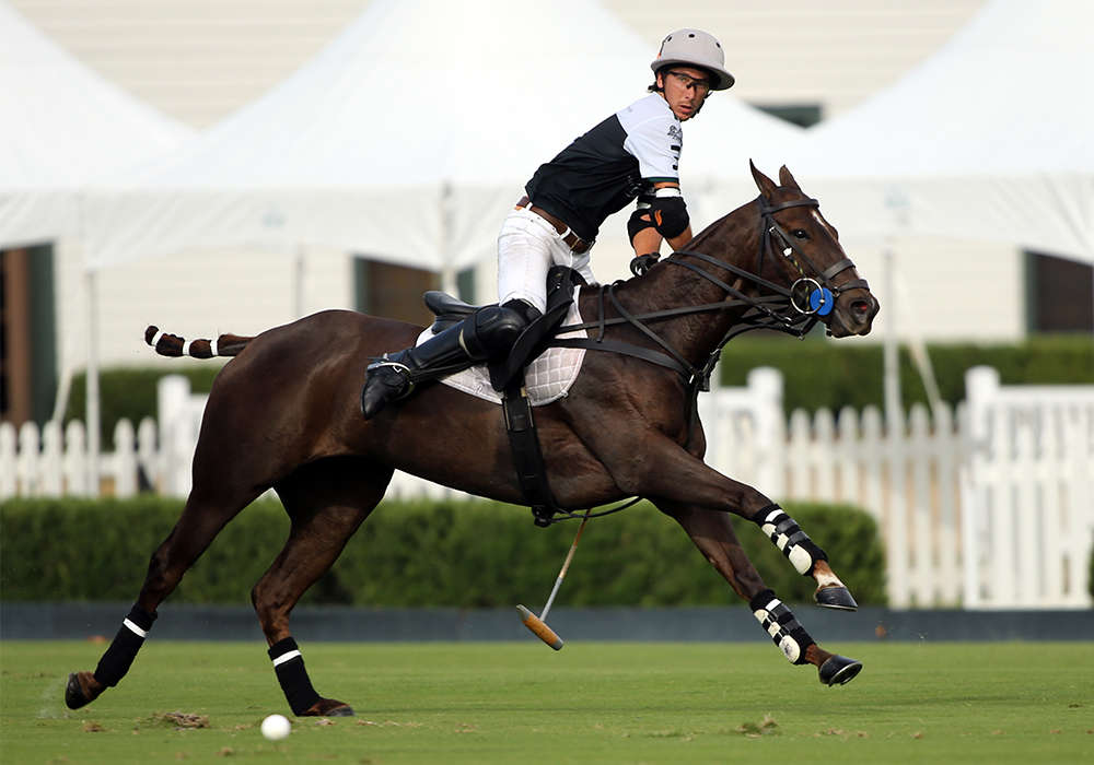 Best Playing Pony of the Ylvisaker Cup Final: One Juliana, played and owned by Jorge 'Tolito' Fernandez Ocampo Jr.