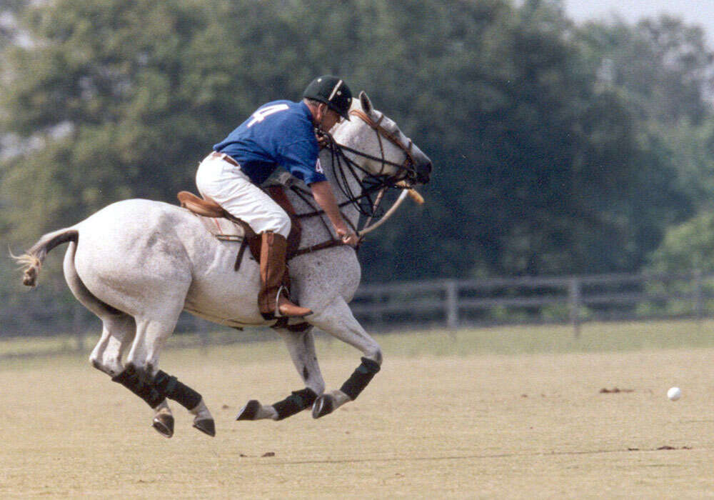 Big George playing Capi.