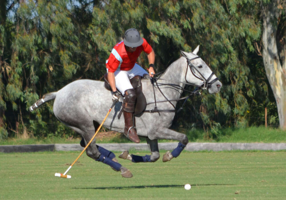 Del Sel playing at Araucaria Polo Club in Buenos Aires, Argentina.