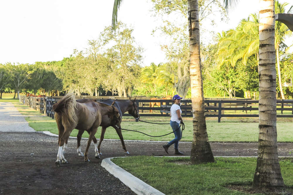 Gloria D'Angelo at Valiente