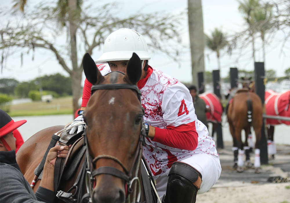 Julian de Lusarreta jumping on Willow.