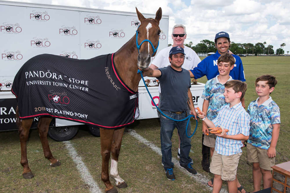 Larry Robinson Sarasota Polo Club