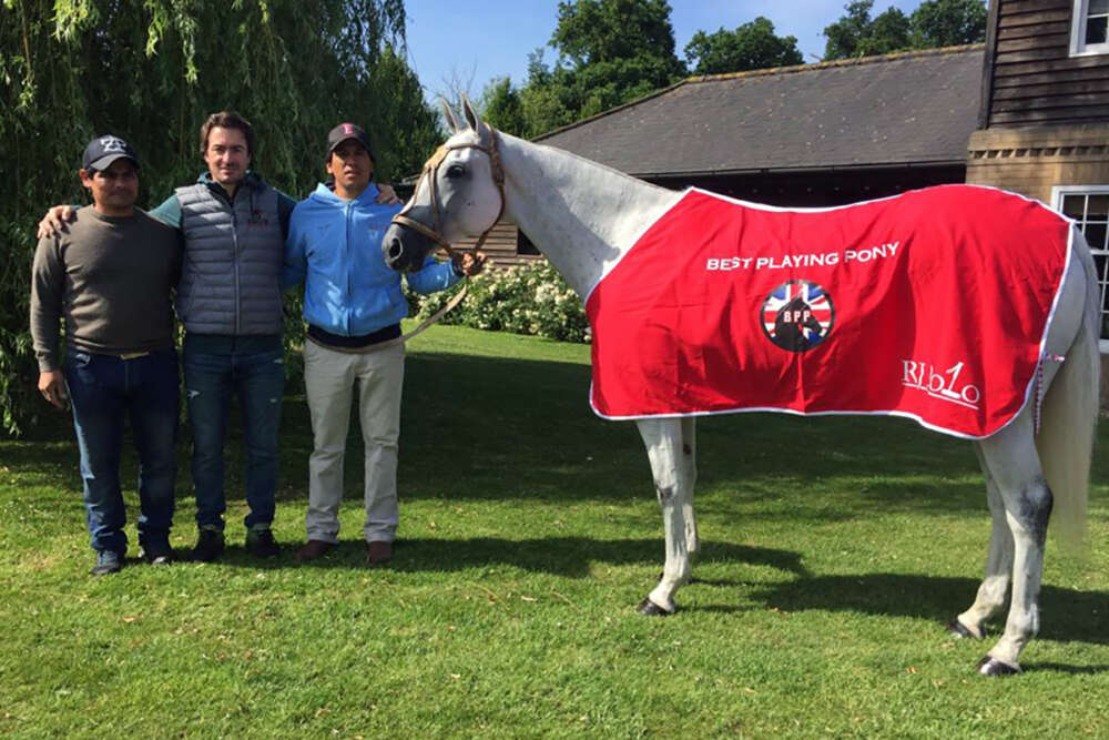 Marisol received Best Playing Pony honors in the 2018 Queen's Cup - Courtesy of Tincho Merlos web