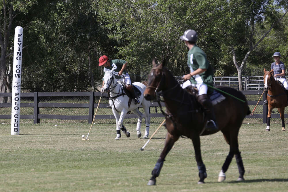 Action on the grass at Flying Cow Polo Club. 