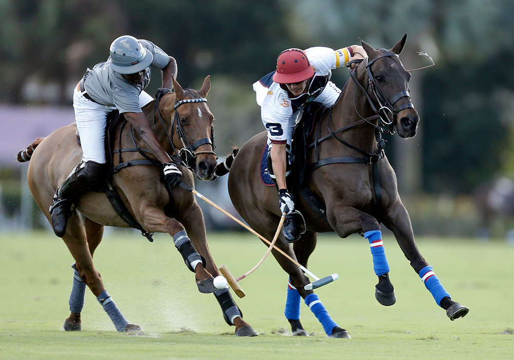 Coquito has led Gringo Colombres' string in high-goal play in the USA. ©David Lominska