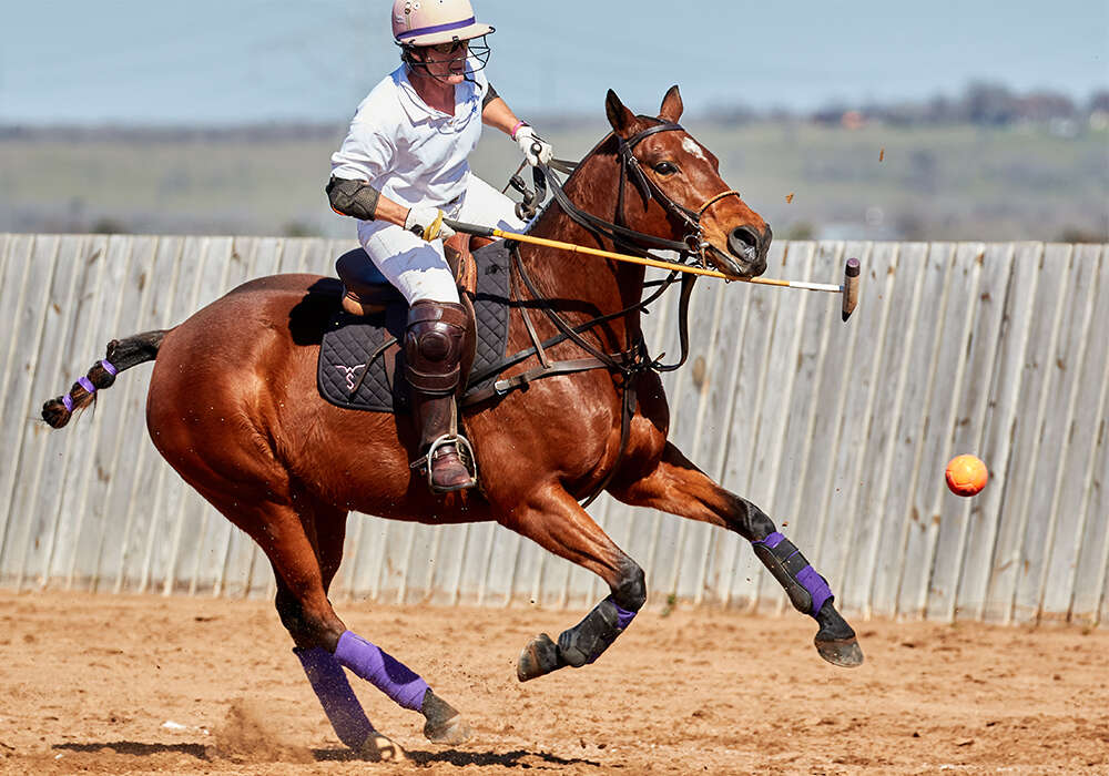 Wendy Stover (Dallas Polo CLub) on BPP Wild aka Dunkin Donuts (8A0A2100_1045) ©David and Debbie Murrell.