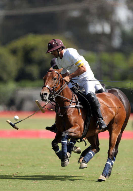 Iñaki Laprida, a top international player has become one of the regular players at Santa Barbara Polo & Racquet Club.