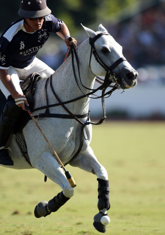 Jesse Bray playing Disney in the final of the 2021 Farmers & Merchants Bank Silver Cup® in Carpinteria, California.