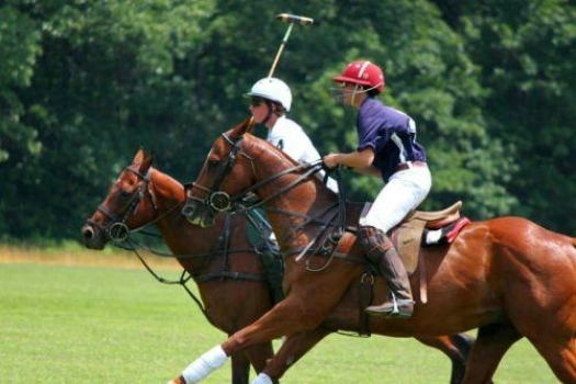 The game of polo